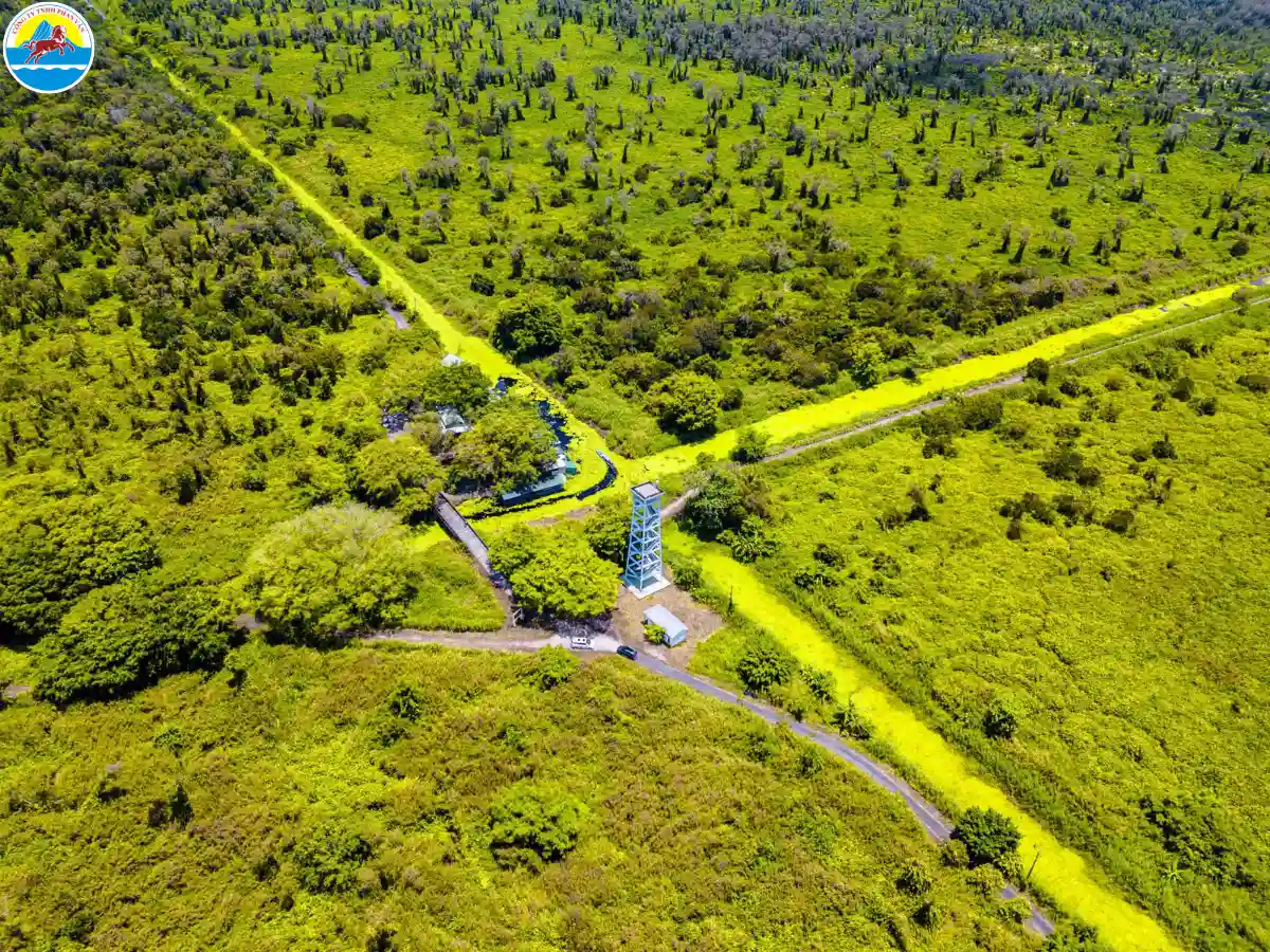 du lịch cà mau 3 ngày 2 đêm​