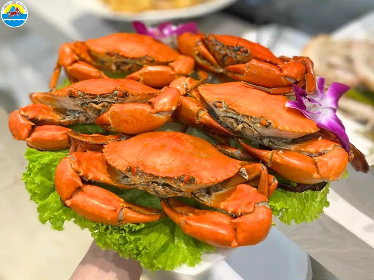 du lịch cà mau 3 ngày 2 đêm​