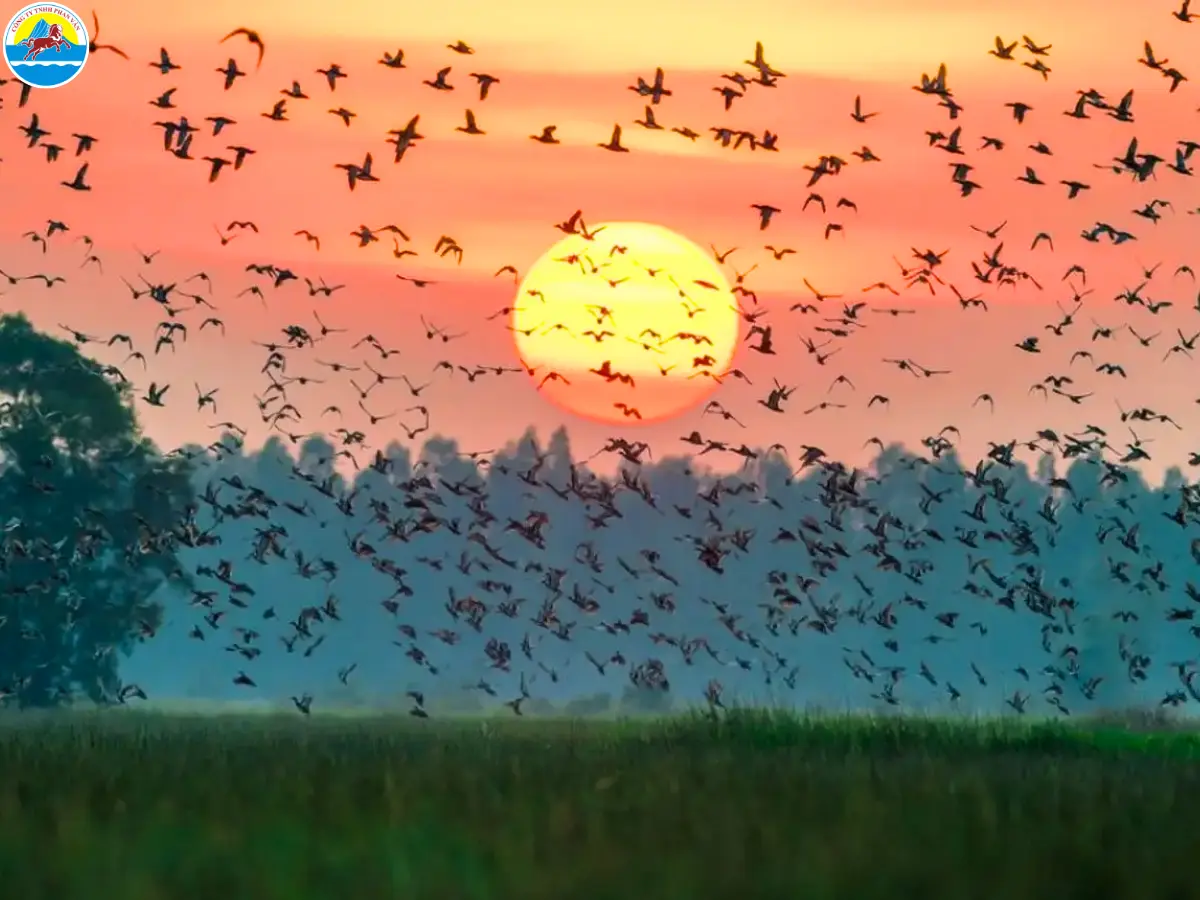 du lịch cà mau 4 ngày 3 đêm