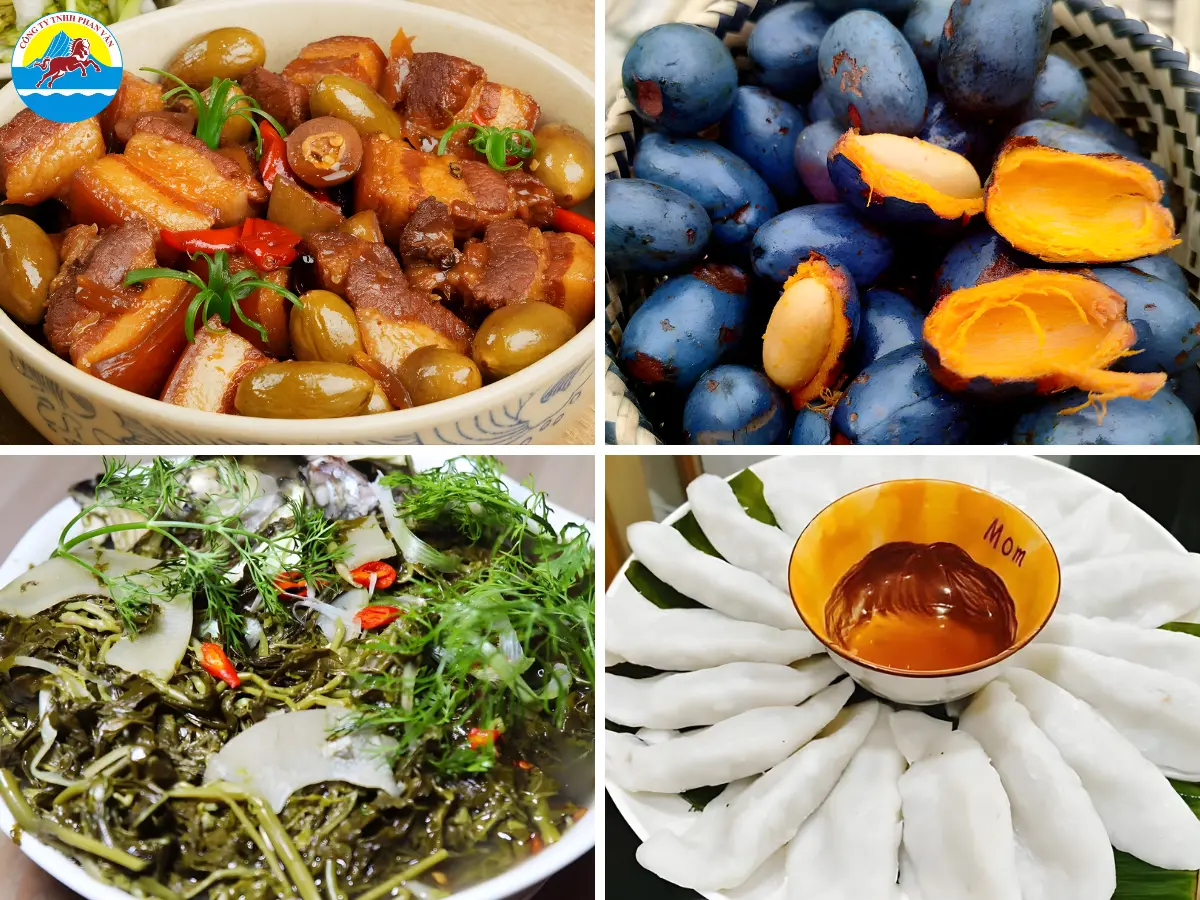 du lịch Cẩm Khê Phú Thọ​