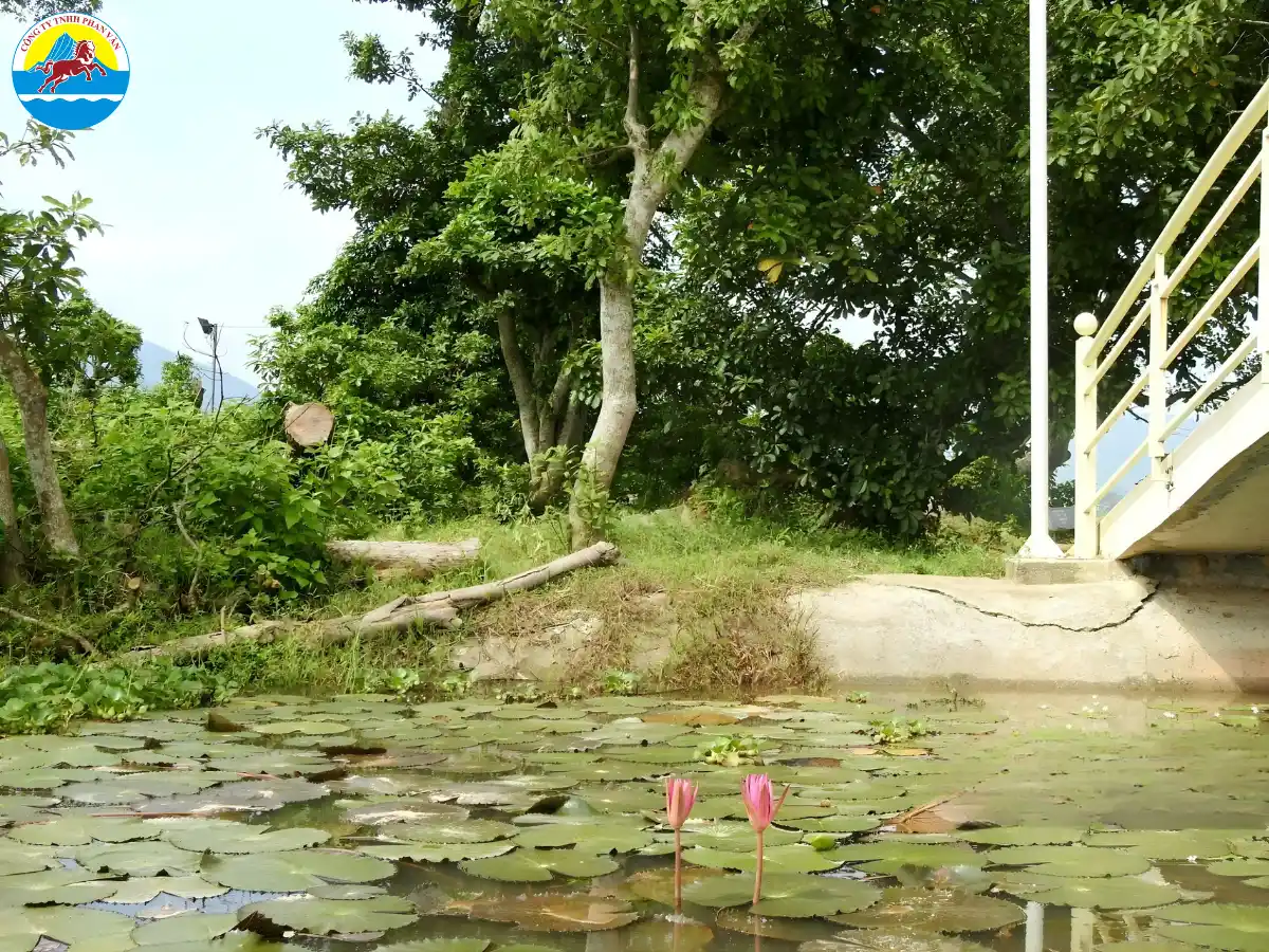 du lịch Cẩm Khê Phú Thọ​