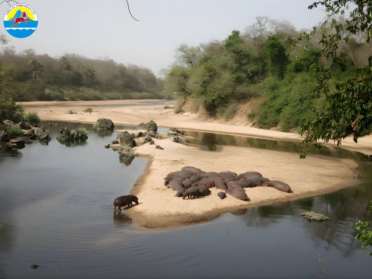 du lịch Cameroon​
