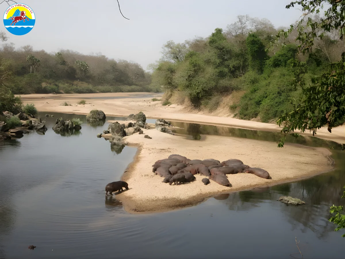 du lịch Cameroon
