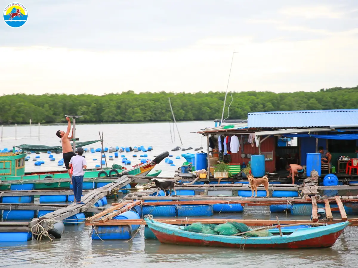 kinh nghiệm du lịch cần giờ 1 ngày​