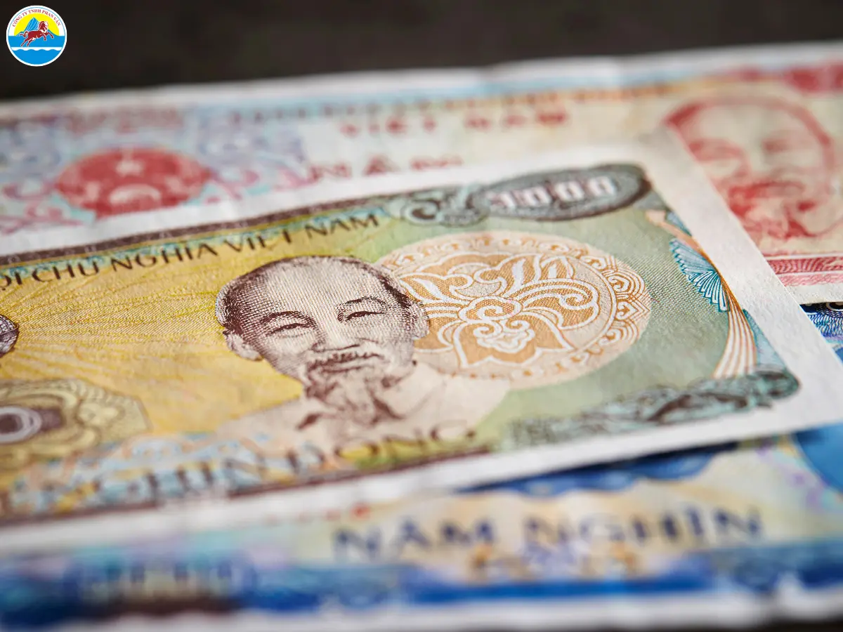 du lịch cần giờ 1 ngày​