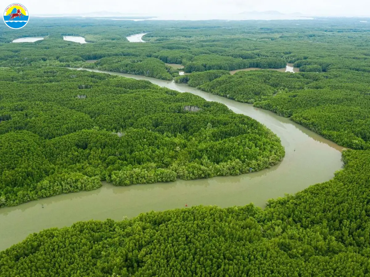 kinh nghiệm du lịch cần giờ 1 ngày​