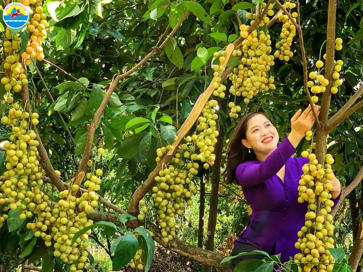 du lịch cần thơ tháng mấy​