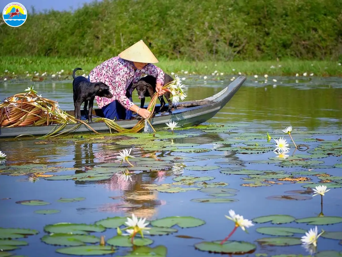 du lịch cần thơ tháng 10​