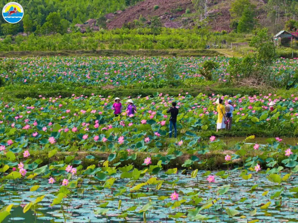 du lịch cần thơ tháng 10