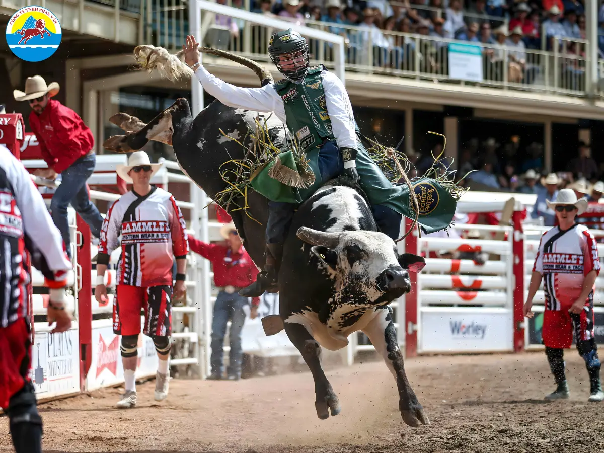 Trải nghiệm lễ hội Rodeo Calgary Stampede