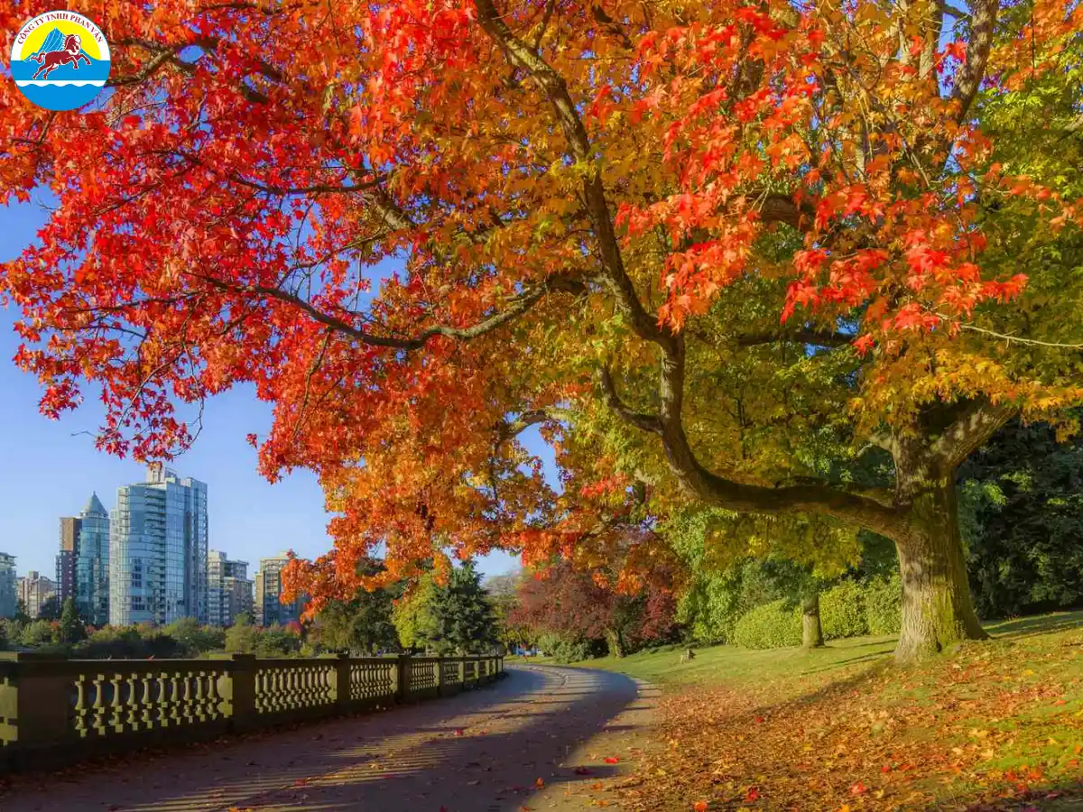 Khí hậu tháng 9 tại Canada thực sự dễ chịu đến bất ngờ