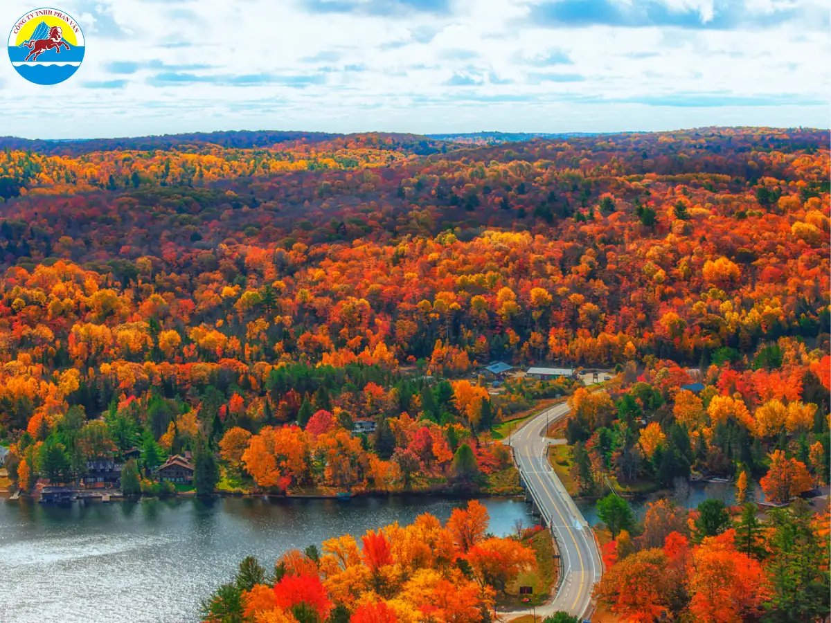Khung cảnh lá phong chuyển màu