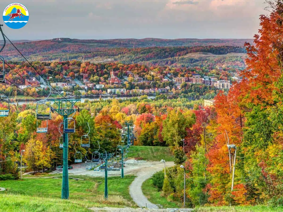 Cung đường lá phong Canada