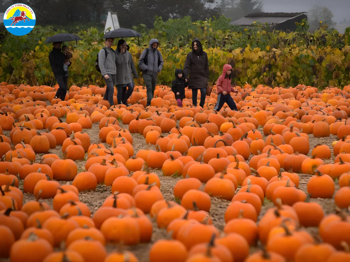 Mùa thu hoạch ở Canada