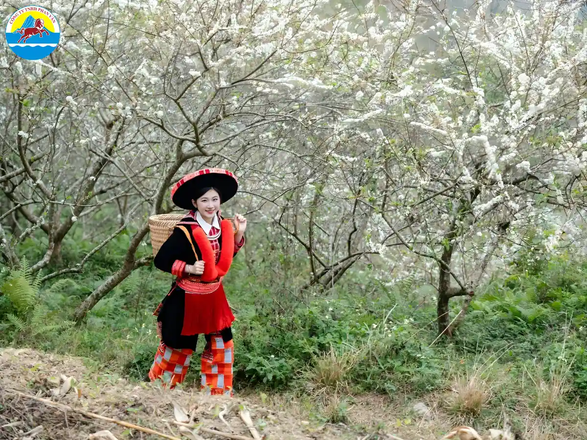 du lịch Cao Bằng tháng 2