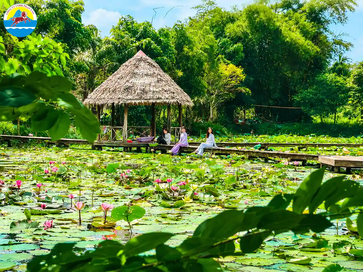 du lịch Cao Lãnh Đồng Tháp