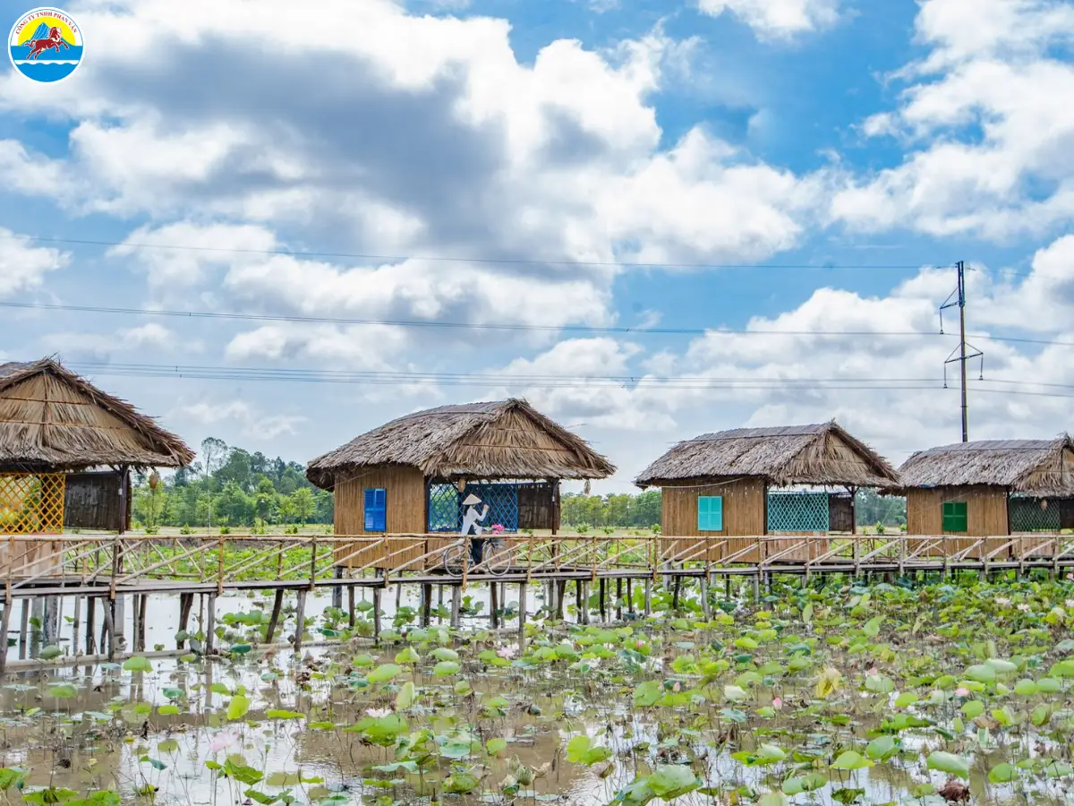 du lịch cao lãnh đồng tháp​