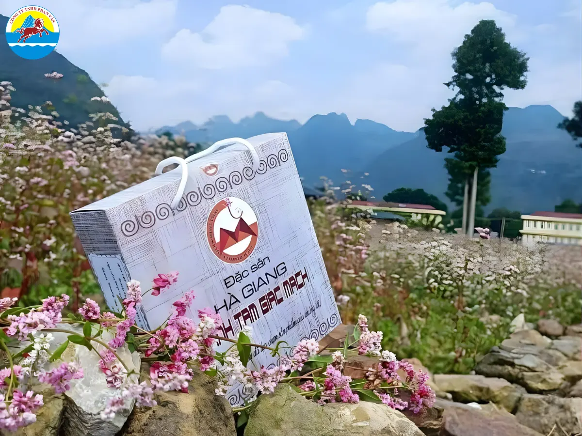 Bánh tam giác mạch