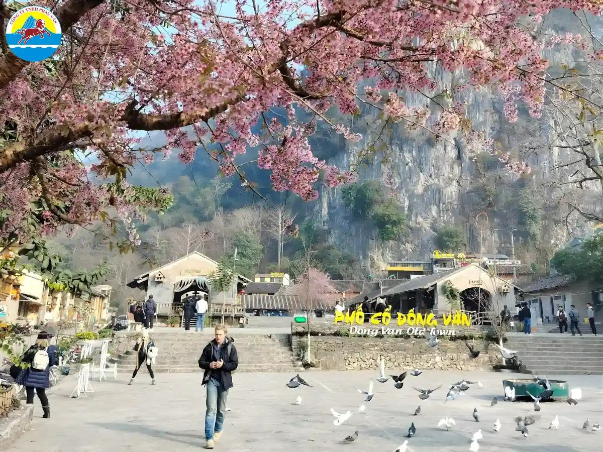 Phố cổ Đồng Văn