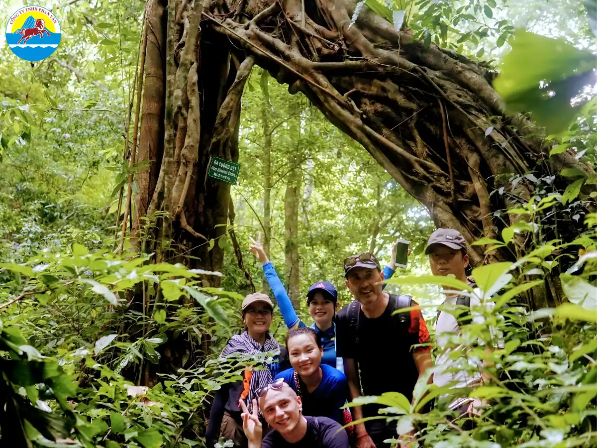 Trekking Vườn quốc gia Cát Bà