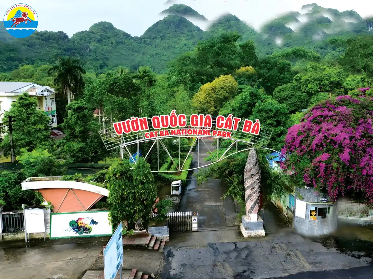 du lịch Cát Bà mùa đông​