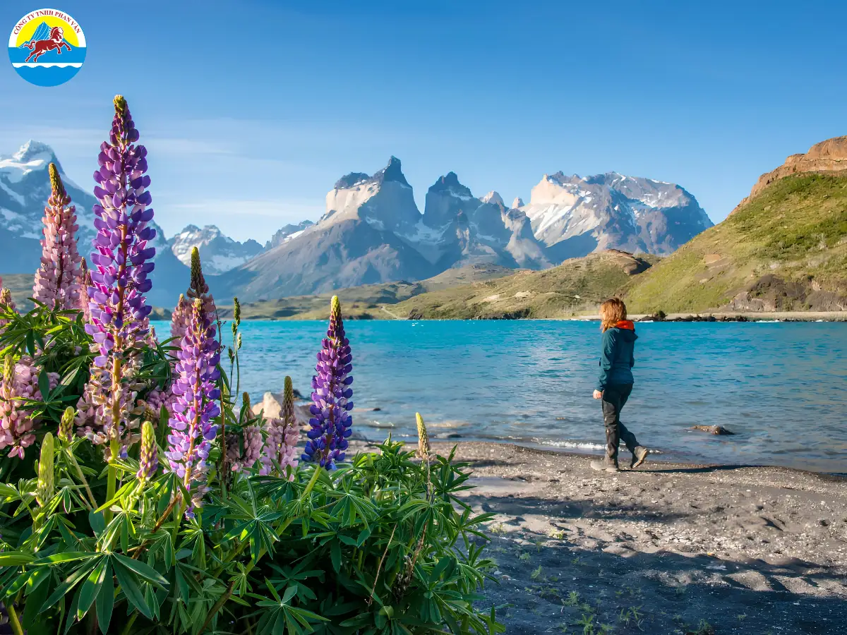 Mùa hè Patagonia với hồ nước xanh ngọc và tháp đá granite