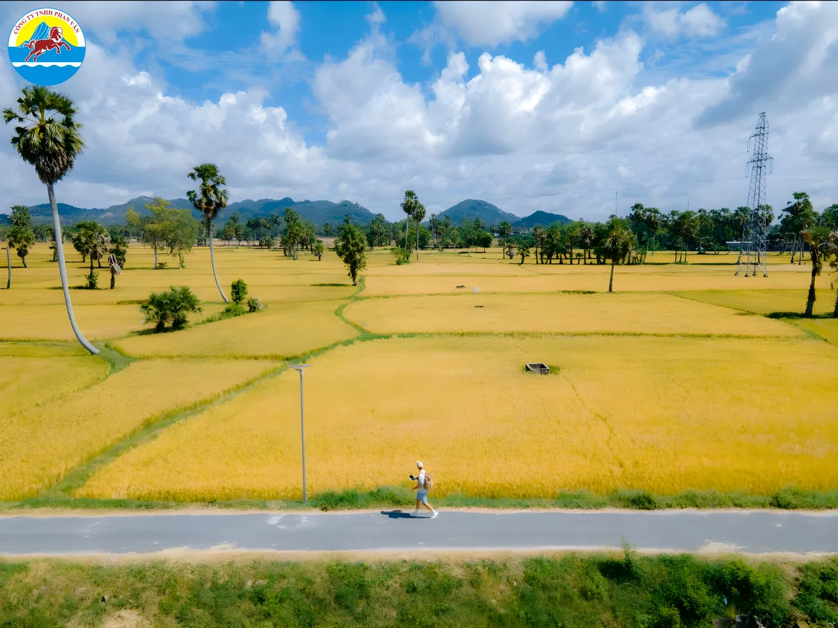 du lịch Chợ Gạo Tiền Giang