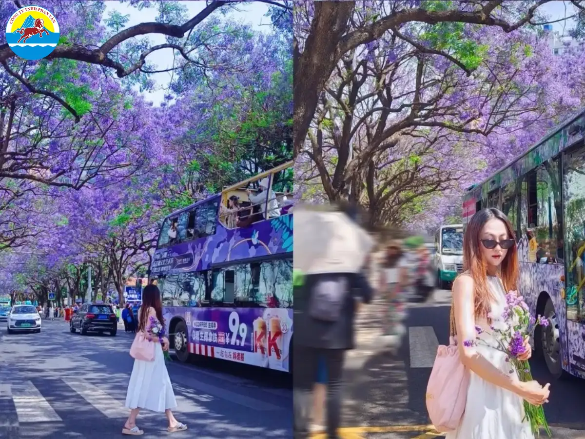 Bạn có thể đến Côn Minh vào bất kỳ thời điểm nào trong năm