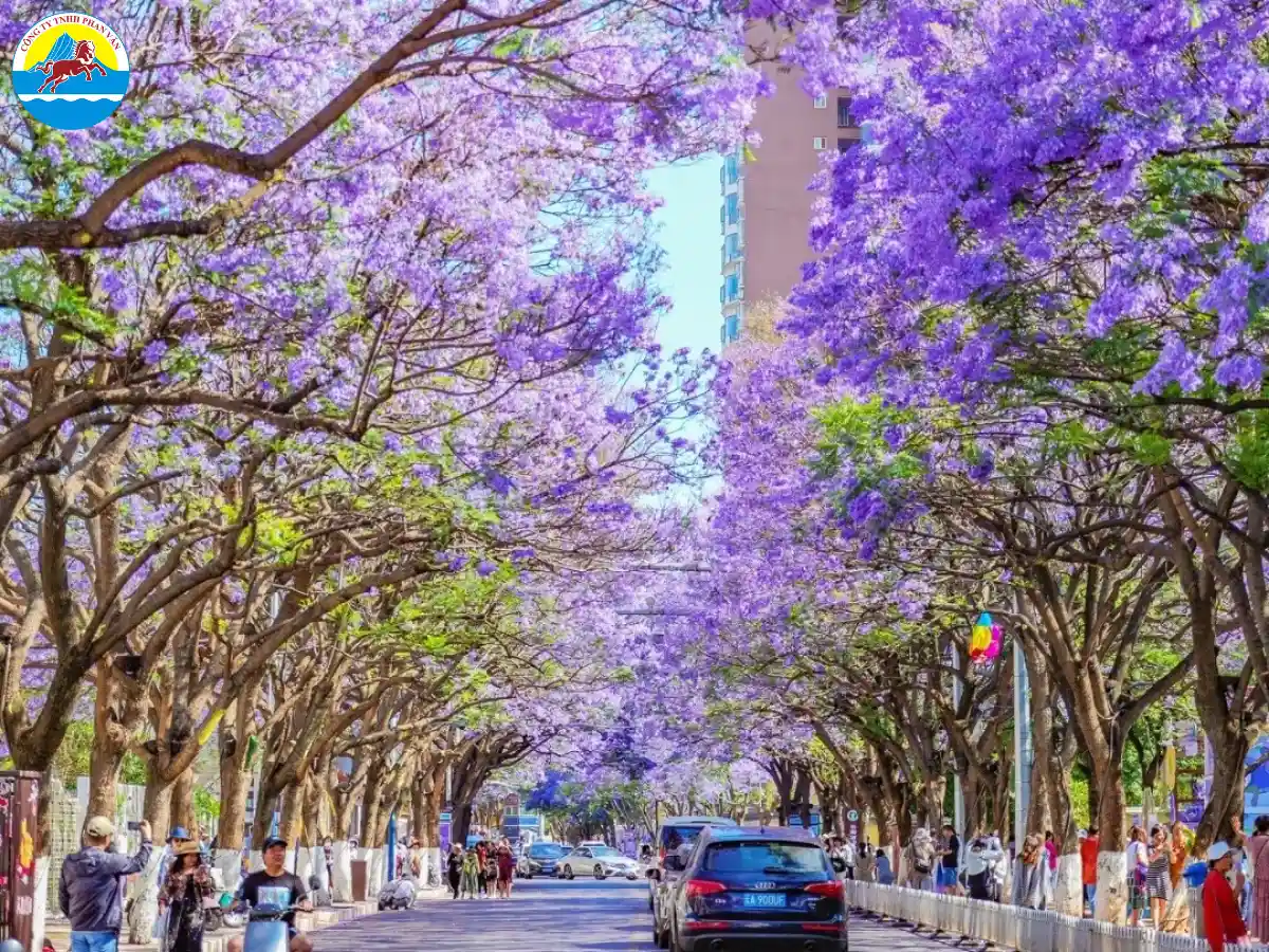 Du lịch Côn Minh theo tour giúp bạn tiết kiệm thời gian và tránh được những rủi ro