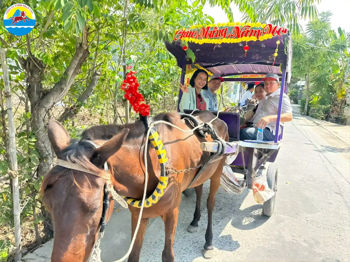 du lịch Cồn Phụng tự túc​