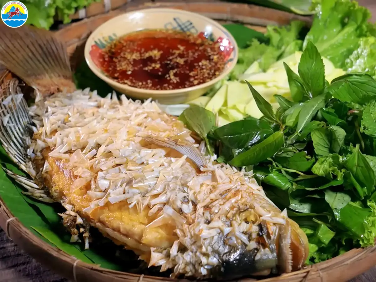 du lịch sinh thái cồn phụng​