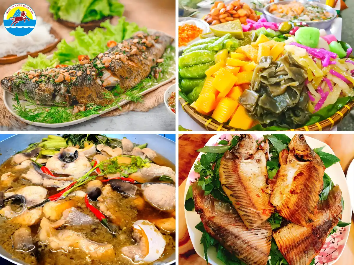 Ẩm thực Cồn Sơn