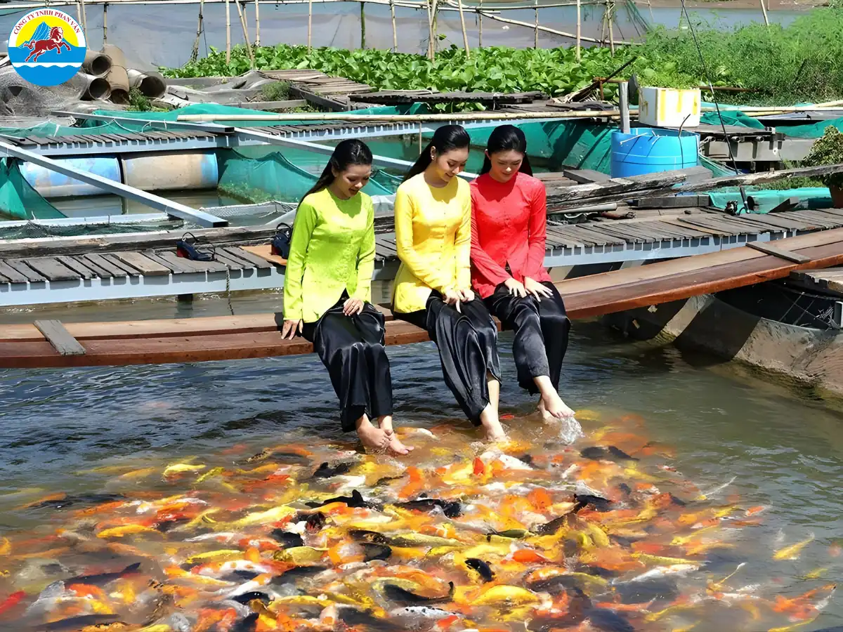 Bè cá Bảy Bon
