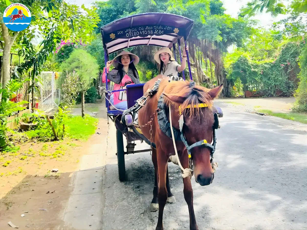 Dạo đường làng bằng xe ngựa