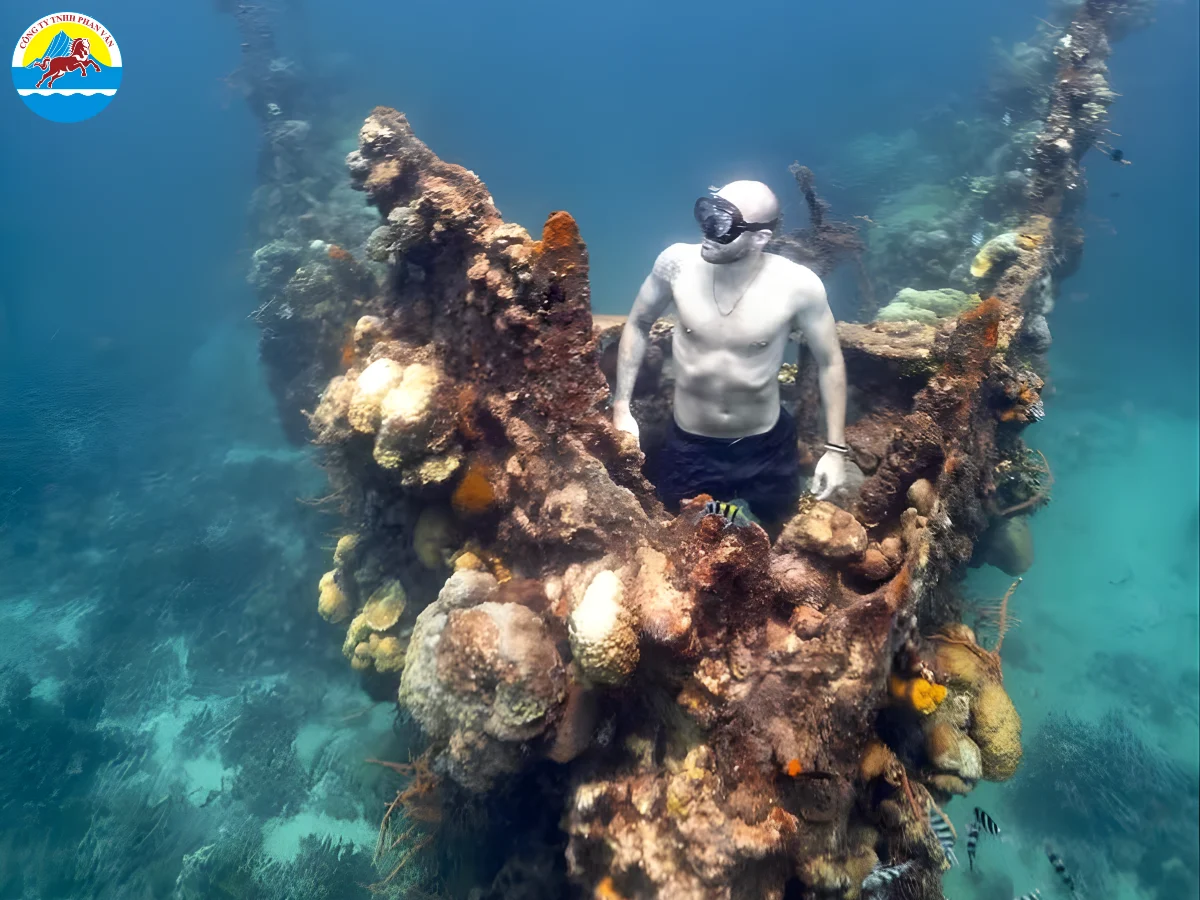 Xác tàu Skeleton Wreck