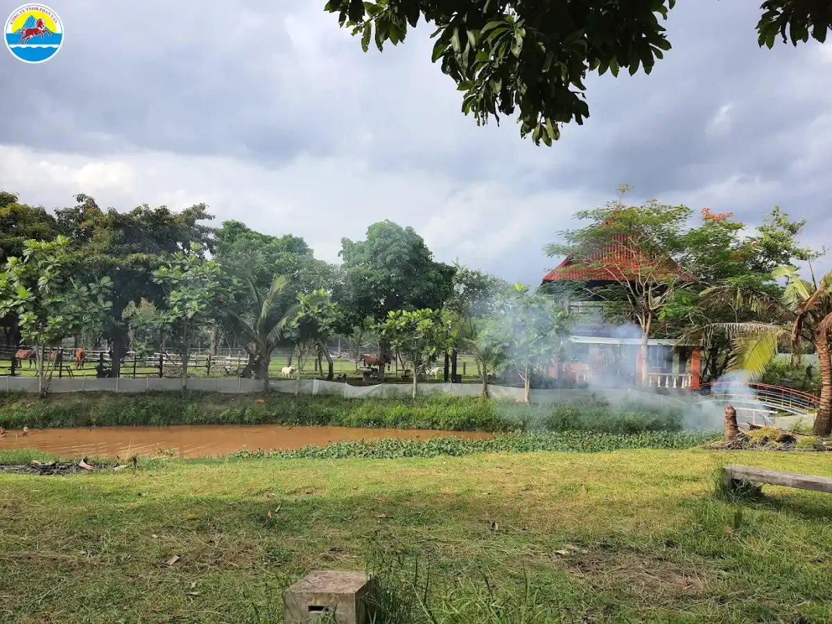 du lịch địa đạo củ chi​