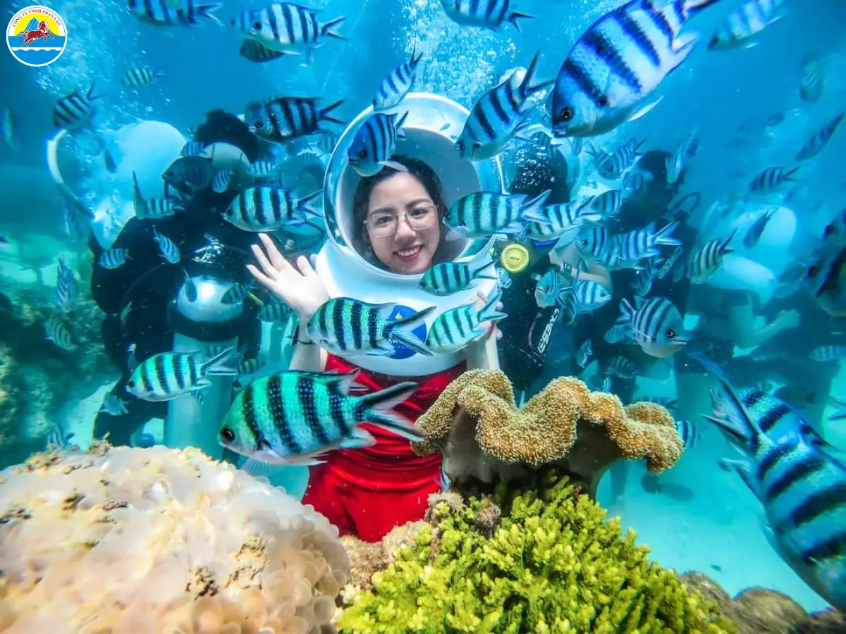 du lịch cù lao chàm