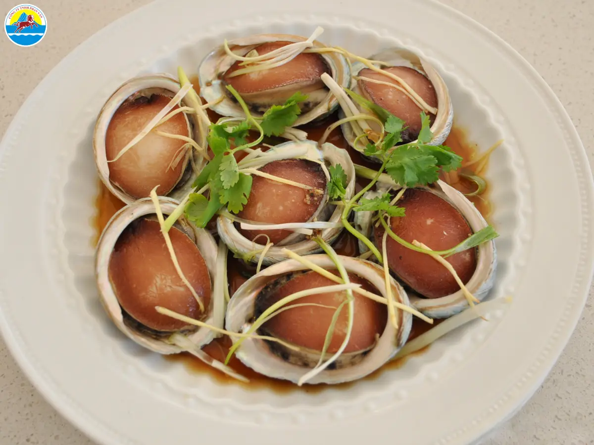 du lịch cù lao chàm