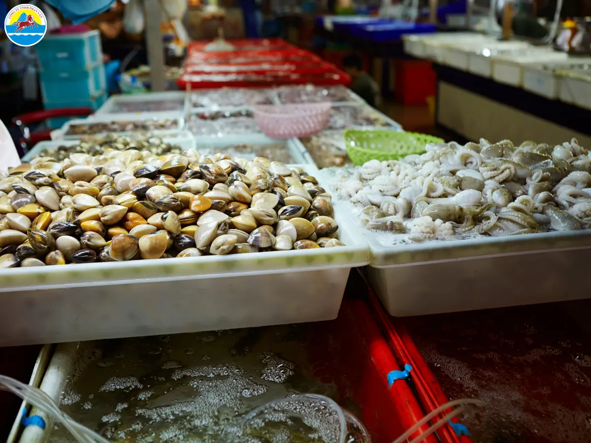 du lịch cù lao chàm