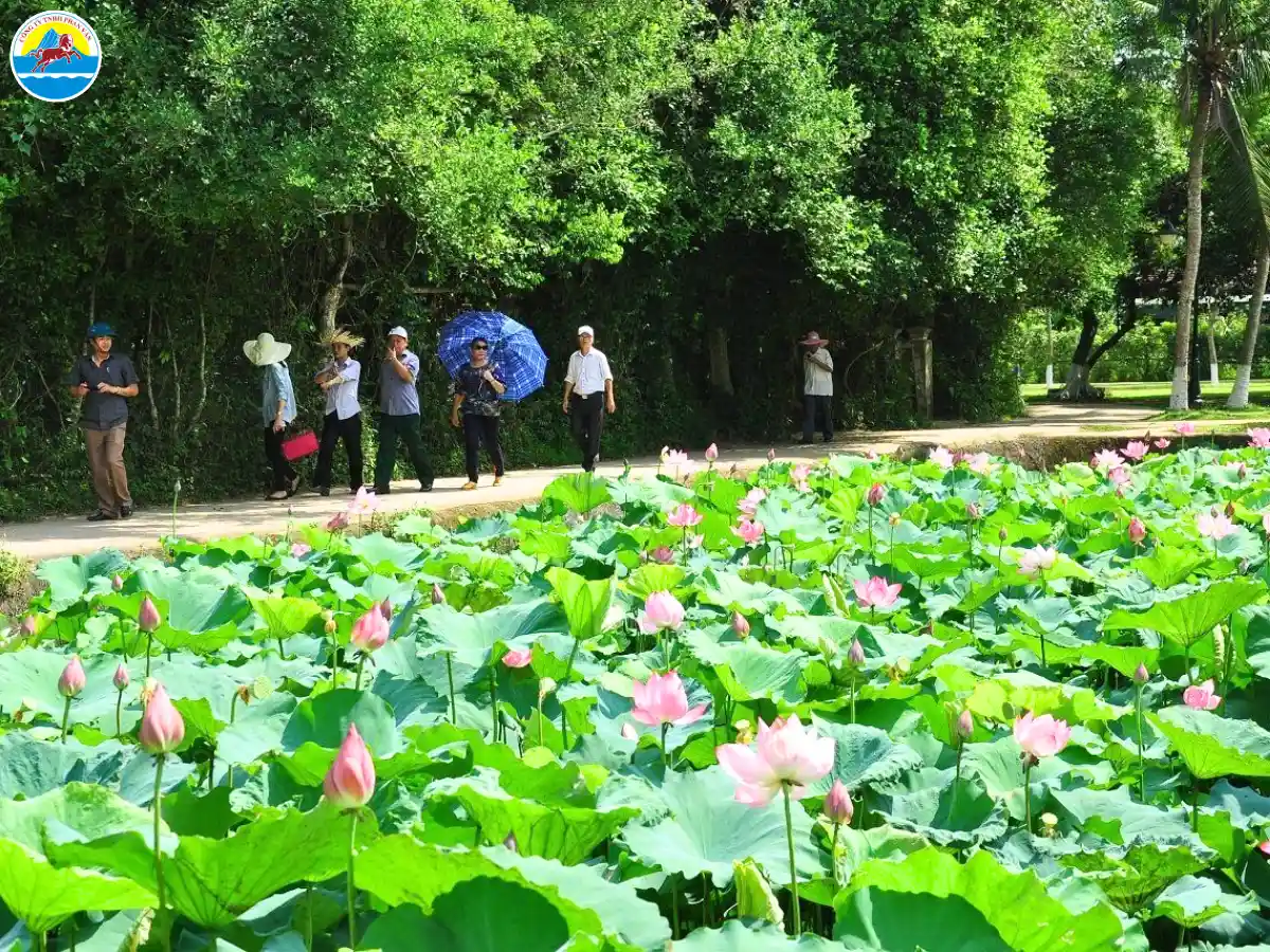 kinh nghiệm đi du lịch cửa lò nghệ an