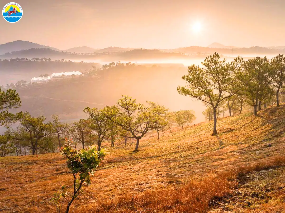 du lịch đà lạt 1 ngày