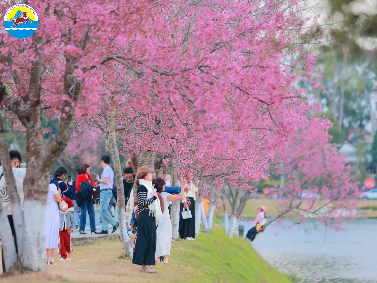 du lịch Đà Lạt cho người lớn tuổi