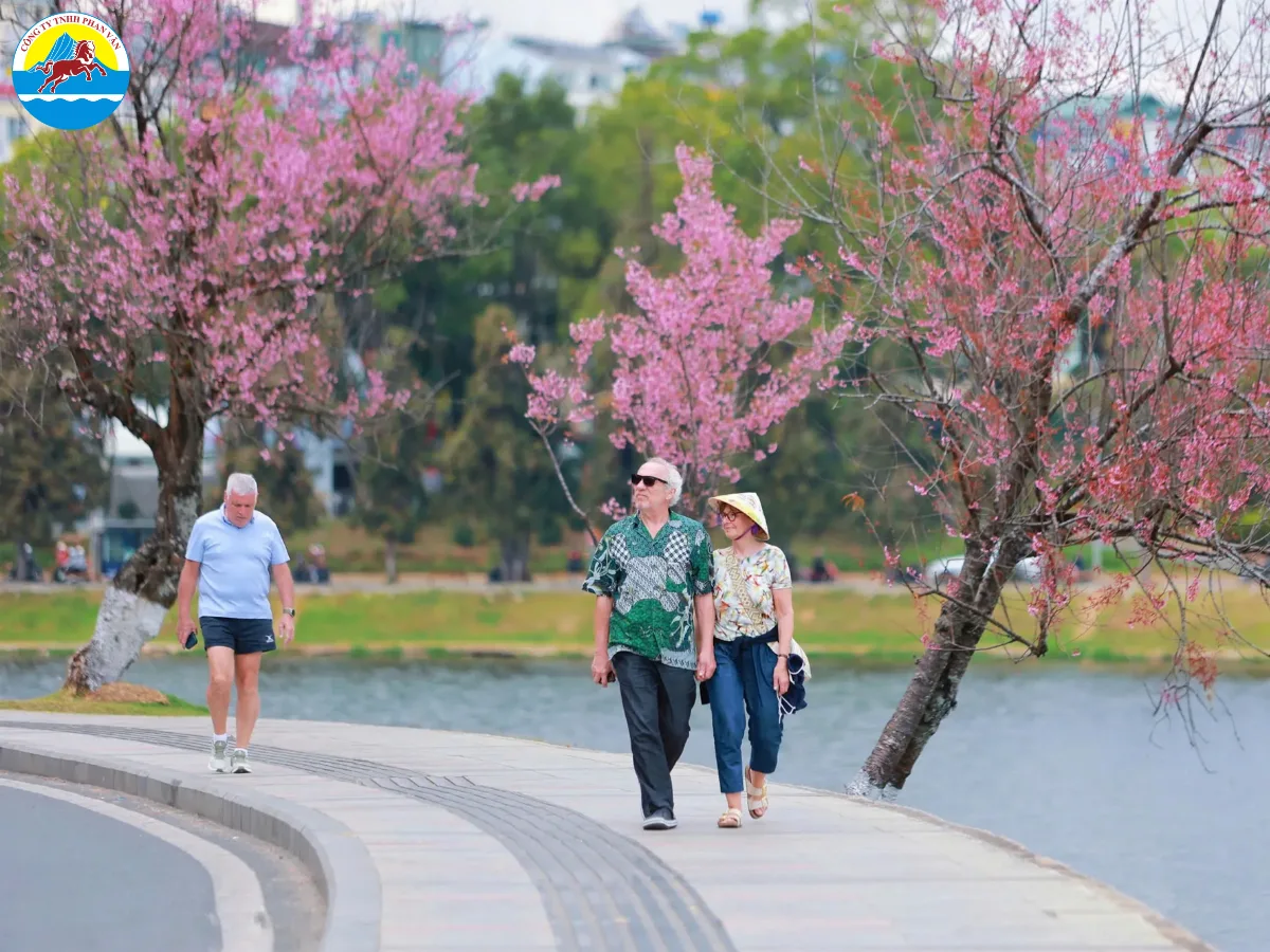 du lịch Đà Lạt cho người lớn tuổi
