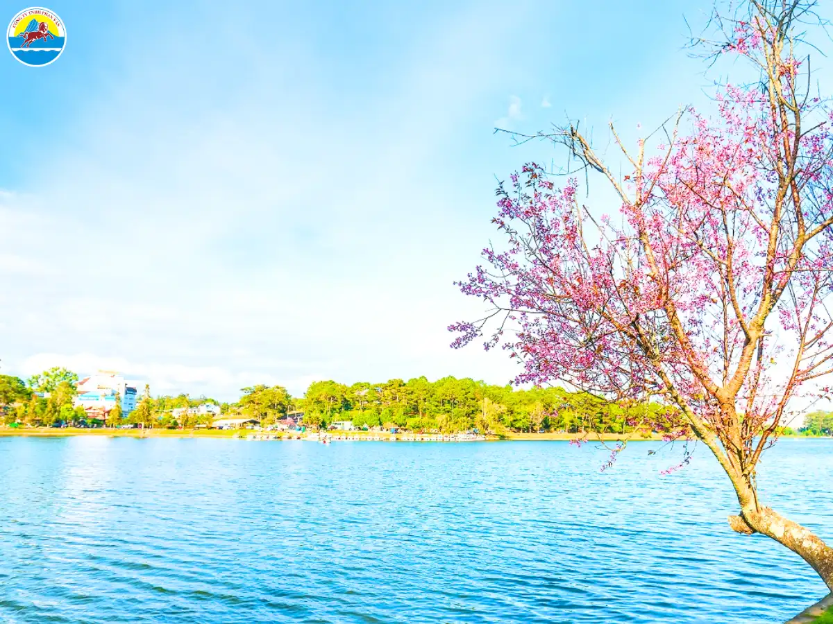 tour đà lạt cho người lớn tuổi​