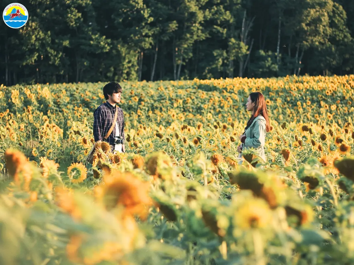 nên du lịch đà lạt tháng mấy