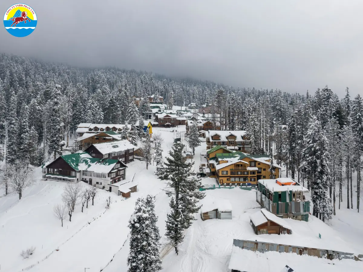 Phan Văn Travel là công ty du lịch chuyên tổ chức các tour du lịch Đài Loan mùa đông trọn gói