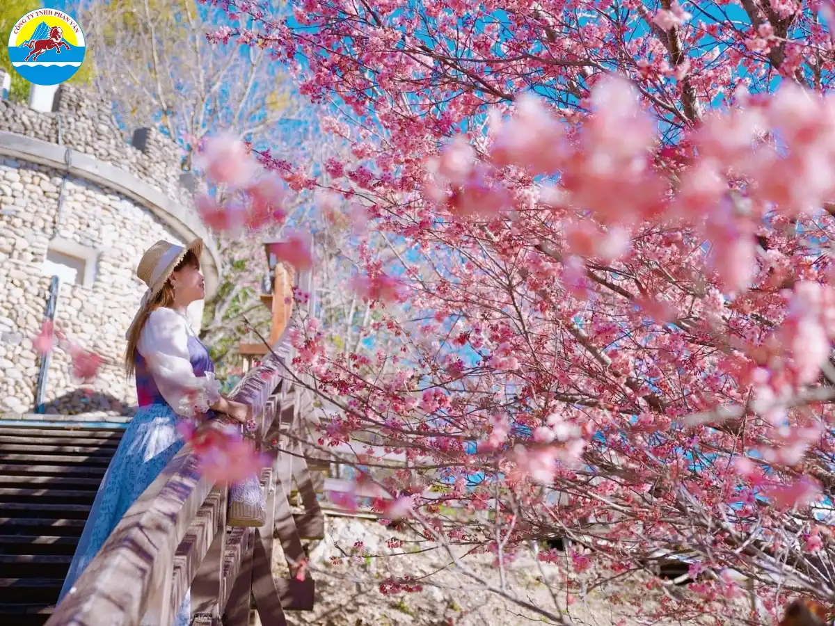 Không gian mùa xuân mang màu sắc tươi mới