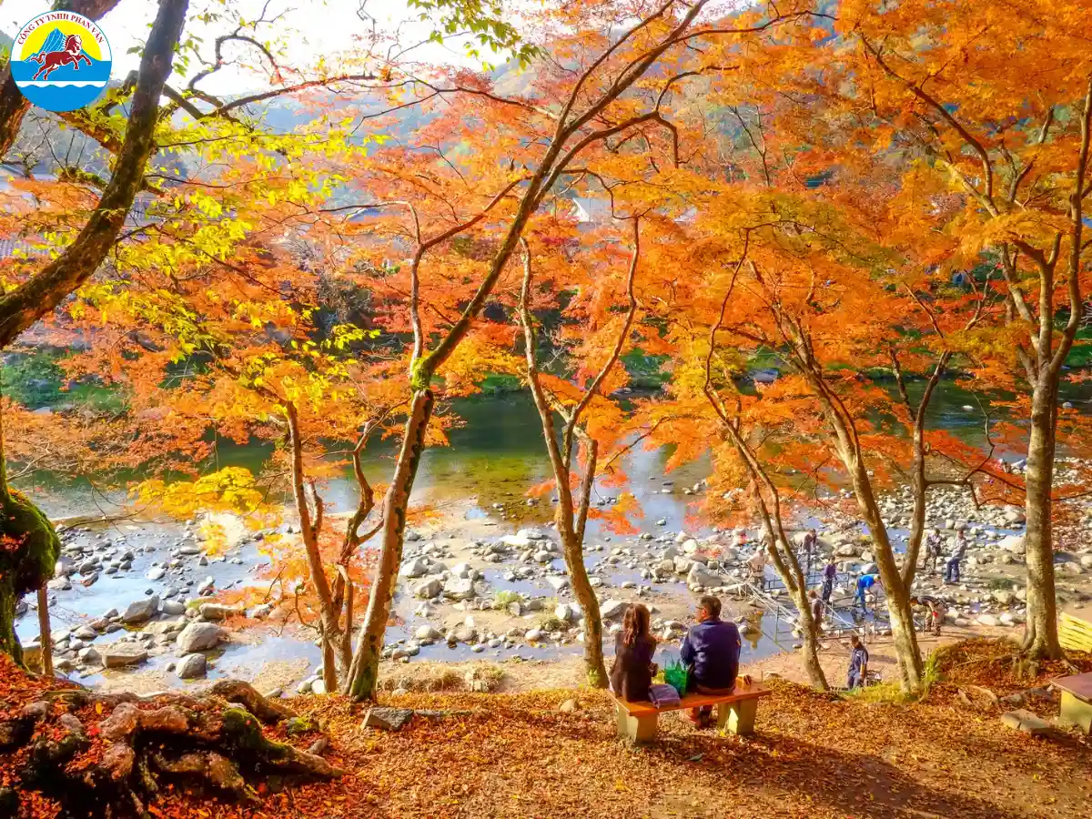 Bầu không khí mùa thu đem lại cảm giác dễ chịu