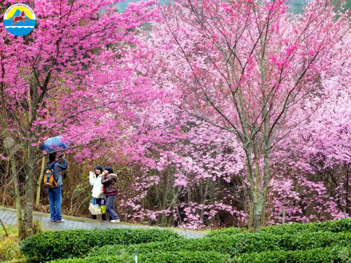 Nông trại Wuling Farm