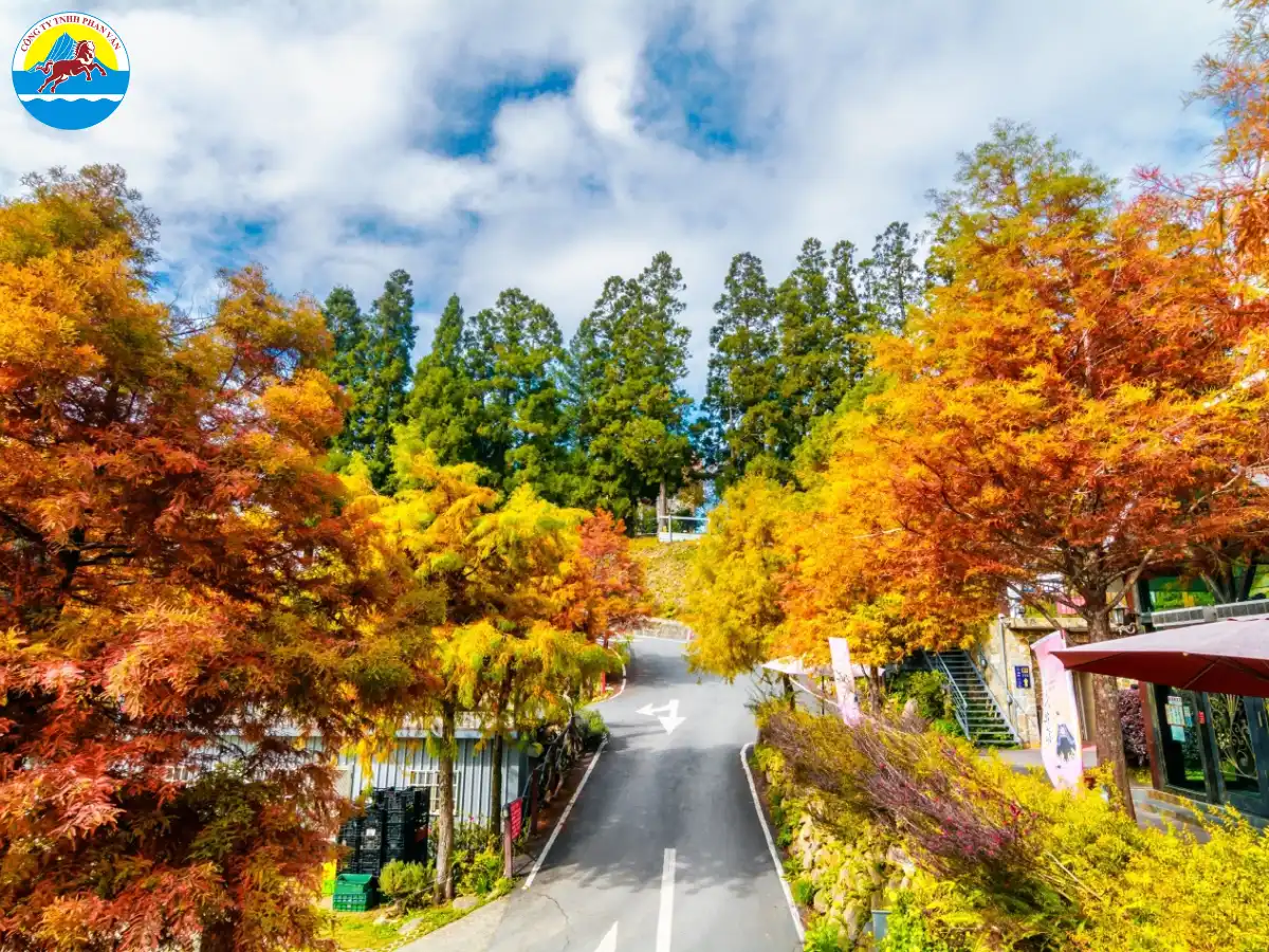 Phan Văn Travel mang đến các tour du lịch mùa thu Đài Loan tối ưu chi phí